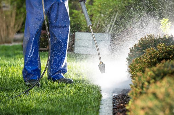 Curb Cleaning in Kokomo