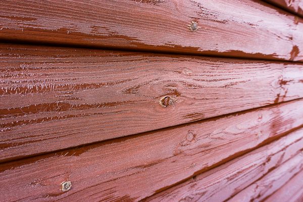 Cedar Siding Cleaning in Kokomo