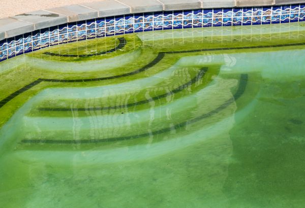 Pool Deck Algae Removal in Kokomo
