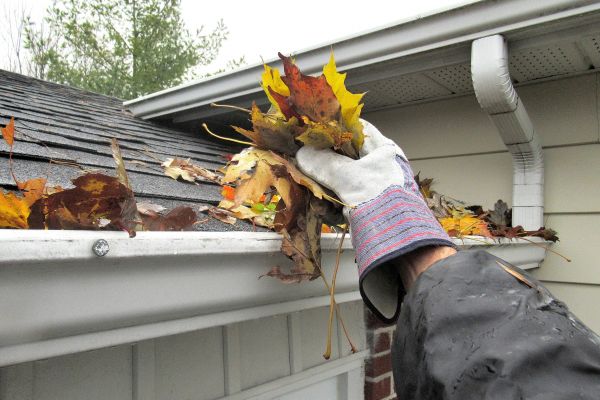 Eaves Cleaning in Kokomo