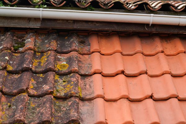Industrial Roof Cleaning in Kokomo