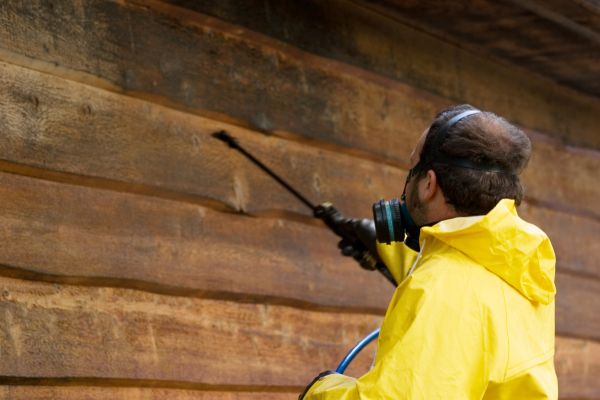 Cedar Siding Washing in Kokomo