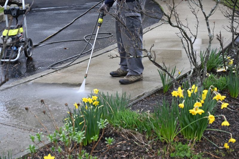Driveway and Sidewalk Cleaning
